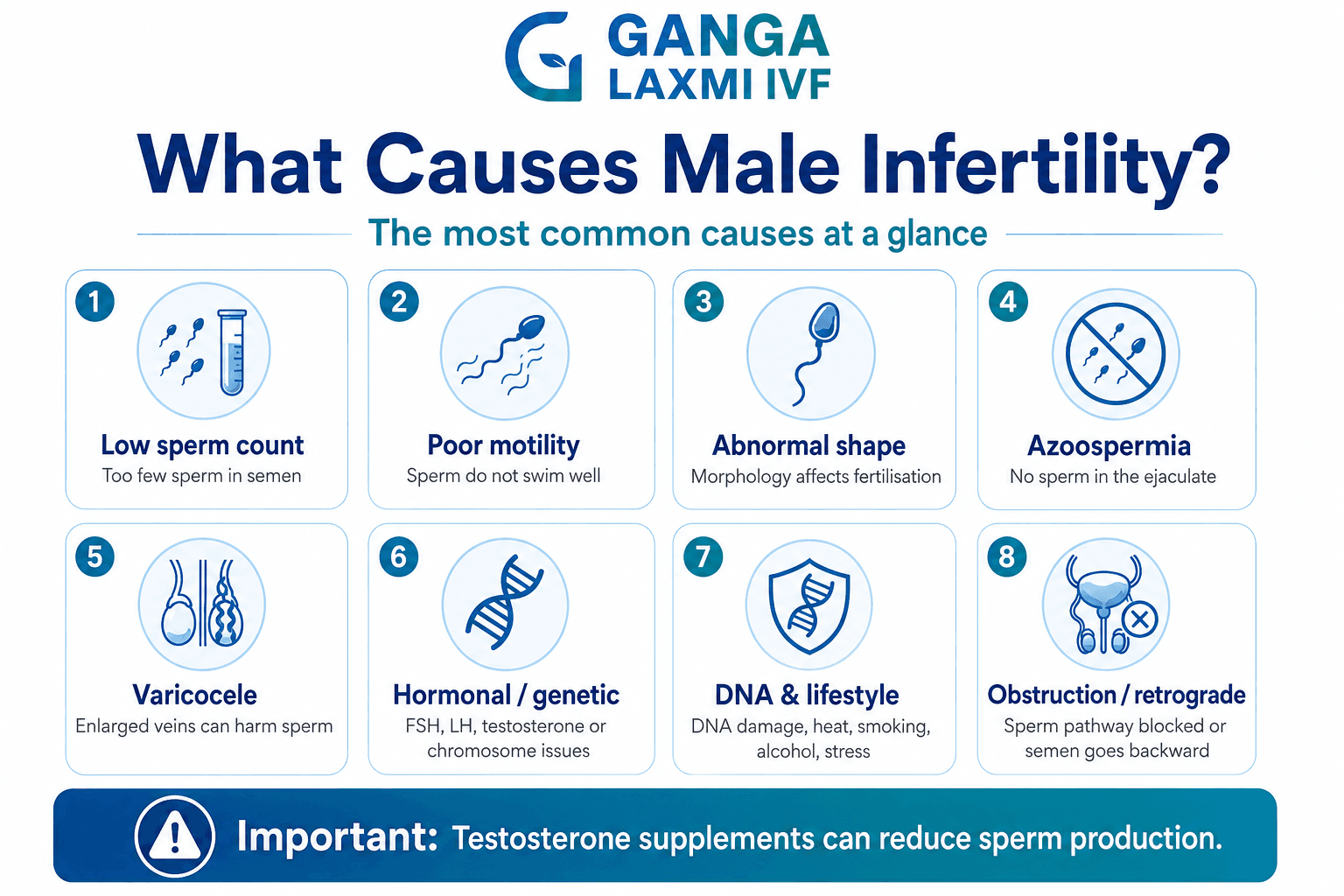 Infographic showing causes of male infertility including low sperm count, varicocele, azoospermia and hormonal imbalance — Ganga Laxmi IVF Lucknow