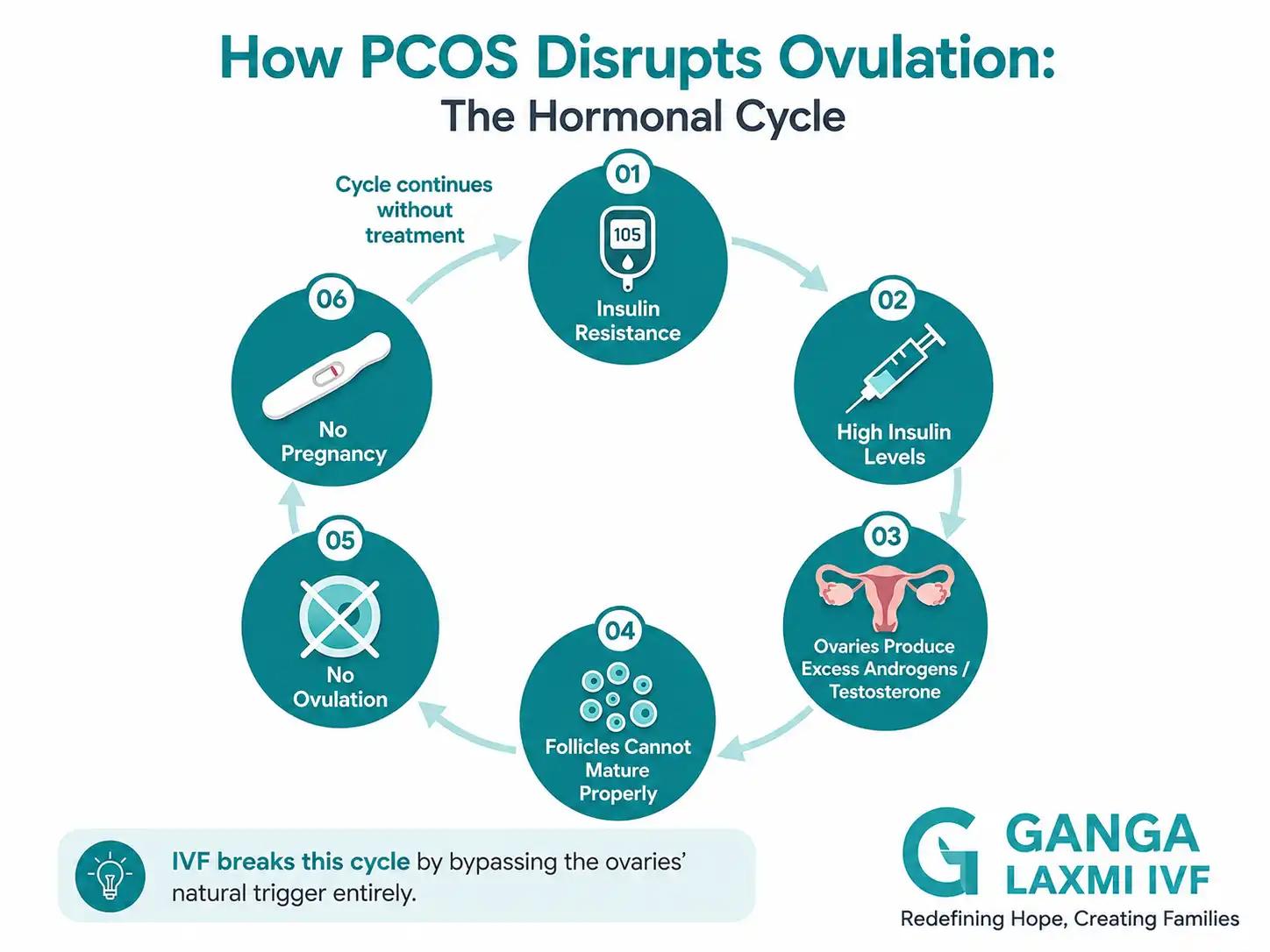 Infographic showing how PCOS disrupts ovulation: the hormonal cycle from insulin resistance through high insulin, excess androgens, immature follicles, no ovulation, to no pregnancy