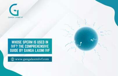 Sperm Is Used in IVF