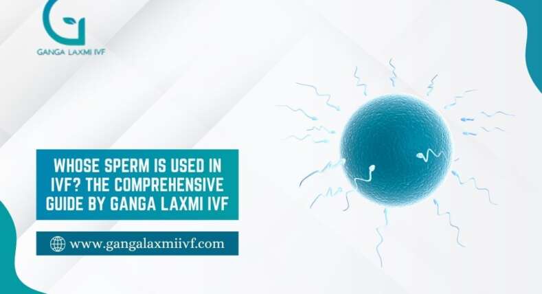 Sperm Is Used in IVF