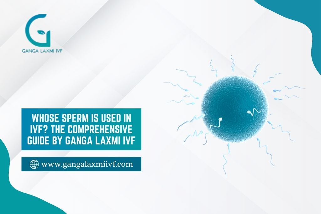 Sperm Is Used in IVF