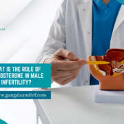 What is the role of testosterone in male infertility?