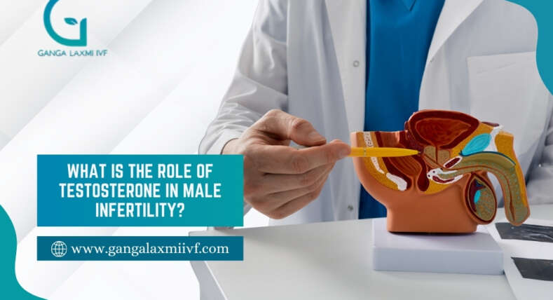 testosterone in male infertility