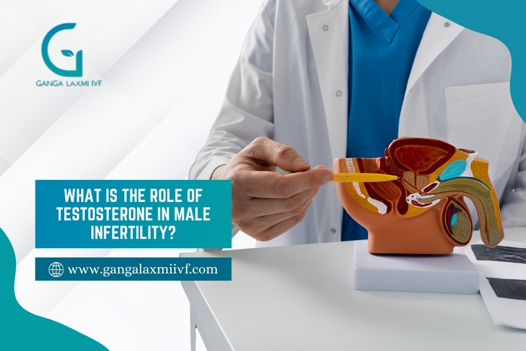 testosterone in male infertility
